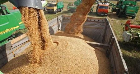 歐盟關稅壁壘下的俄羅斯谷物貿(mào)易博弈