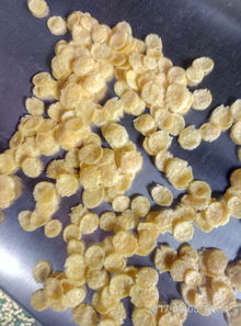 供應谷物膨化新利器 2mm-50mm圓球膨化機批發(fā)銷售全解析