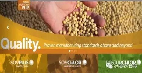 農業合作社的力量 美國如何應對谷物滯銷挑戰