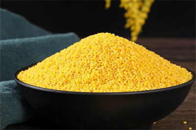 金佳谷物 優質谷物的匠心銷售與全產業鏈服務