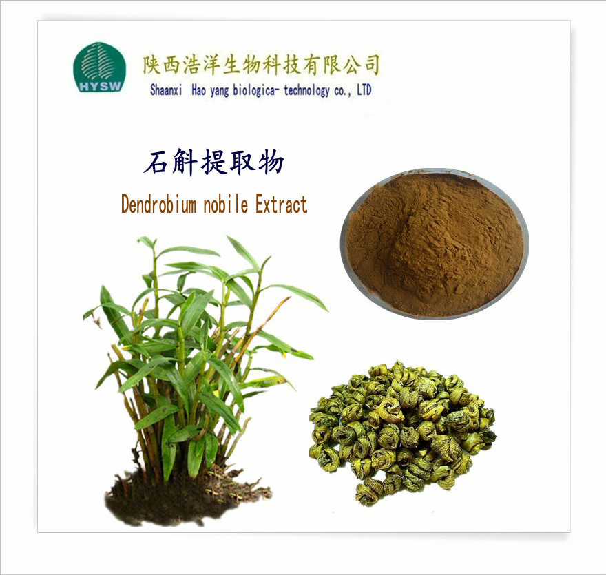 萃取石斛粉 現代工藝與傳統草本的智慧融合
