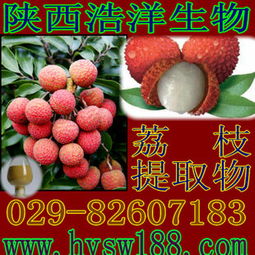供應荔枝提取物 天然植物提取物的價值與選購指南